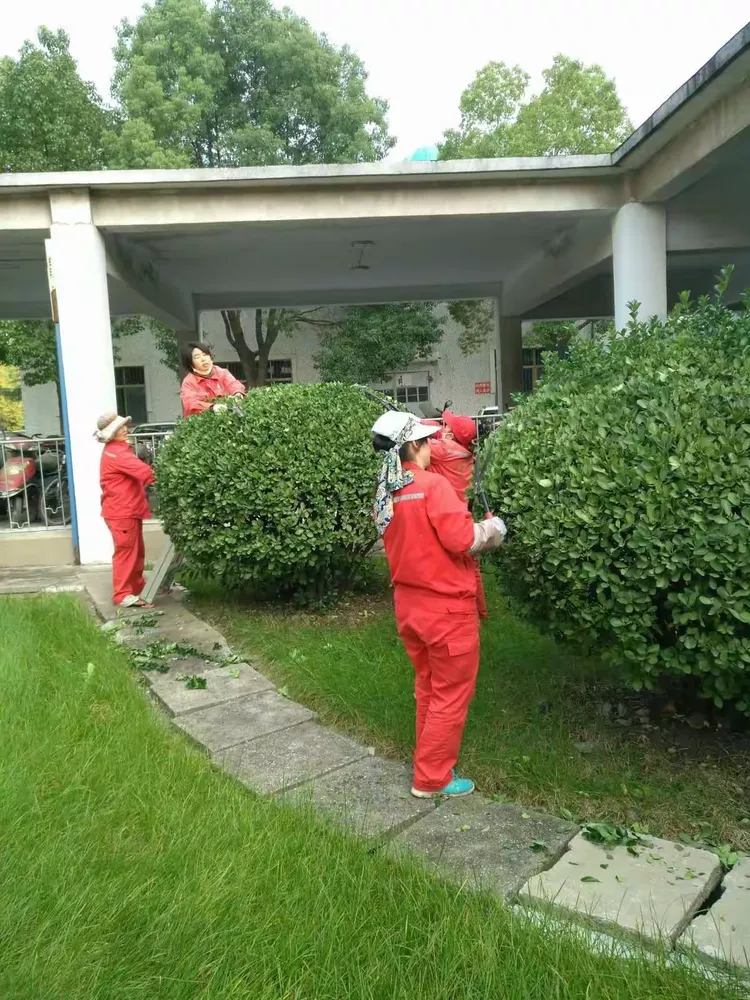 物业-绿化服务